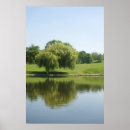 Search for weeping willow tree posters Water