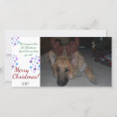 Search for funny german shepherd cards Gsd