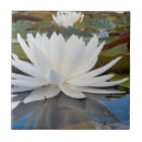 Search for water lily tiles Landscape