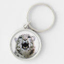 Search for leopard keychains Photograph