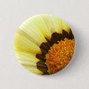 Search for daisy picture buttons Floral
