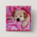 Search for adopt dog buttons Dogs