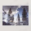Search for water reflection postcards Trees