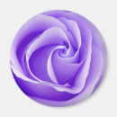 Search for single rose magnets Floral