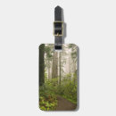 Search for rhododendron accessories Tree