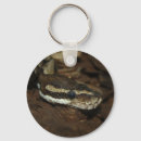 Search for terrarium keychains Reptile