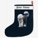 Recherche de caniche chaussette de noël Canin