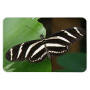 Recherche de jolis papillons magnets Pour tous