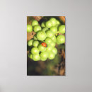 Search for bugging canvas prints Red