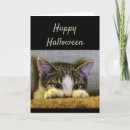 Search for funny halloween cards Vampires