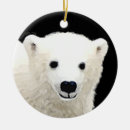 Search for polar bears ornaments Snow