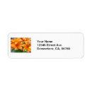 Search for flora labels Pretty
