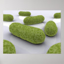 Search for bacteria posters Germ