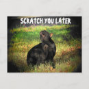 Search for funny play on words postcards Pun