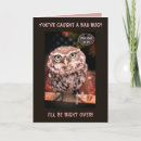 Search for get well soon owl Wildlife