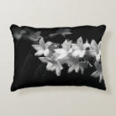 Search for jasmine photography Floral