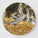 Recherche de barbu horloges Drôle