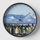 Search for colonial clocks Bird