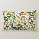 Search for papillon pillows Insects