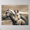 Search for quartering posters Ranch