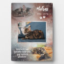 Search for unique pet memorials Cat