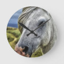 Recherche de tête de cheval horloges Poney