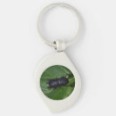 Search for beetle keychains Bug