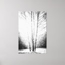 Search for birch tree canvas prints Landscape