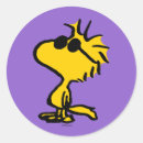 Search for sunglass stickers Charlie brown