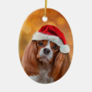 Search for grunge ornaments Dog