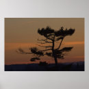 Recherche de silhouettes art Nature