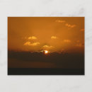 Search for sun orange postcards Yellow