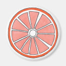 Search for orange fruit magnets Citrus