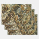 Search for lizard wrapping paper Herpetology