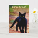 Search for cat puns birthday cards Cute