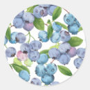Search for blueberry stickers Kitchen