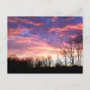 Search for winter trees postcards Red