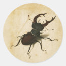 Recherche de insectes vintages autocollants Coléoptère