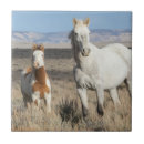 Search for tiles Country