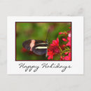 Search for insect christmas cards Nature