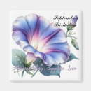 Recherche de morning glory gifts Gloire matinale