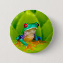 Search for frog buttons Amphibia