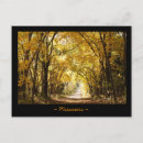 Search for missouri postcards Midwest
