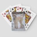 Recherche de caniche jeux de cartes Mignon