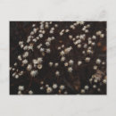 Search for constellations postcards Stars