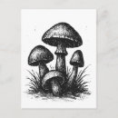 Recherche de terreur cartes postales Illustration