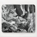 Search for wild wolf mousepads Animal