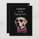 Search for golden retriever postcards Labrador