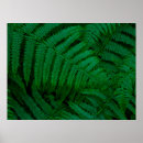 Recherche de arbre plante posters Vert