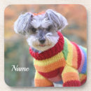 Search for schnauzer coasters Canine